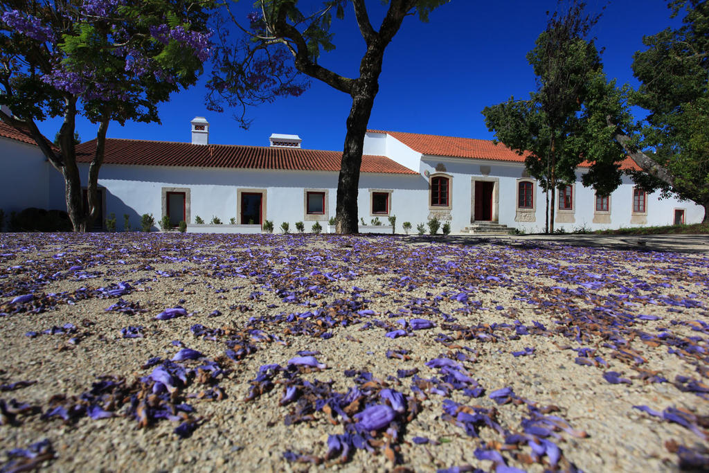 Отель Quinta Da Lapa Manique do Intendente Экстерьер фото